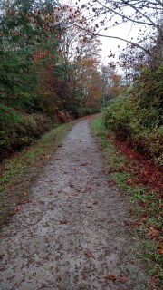 img_20161010_084209113