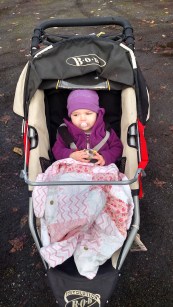 img_20161115_145342518_hdr