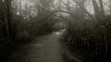 img_20170111_093705912